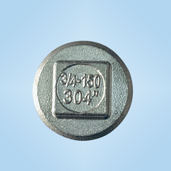 溫州版20塞頭鑄件